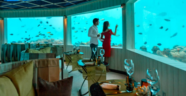 Underwater Dining